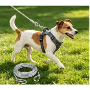 corda de amarração para cães