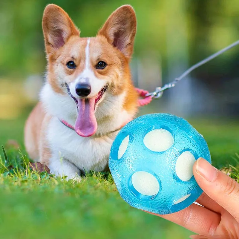 Bola Flutuante para Cães TPR Interativa Azul - Imagem 4