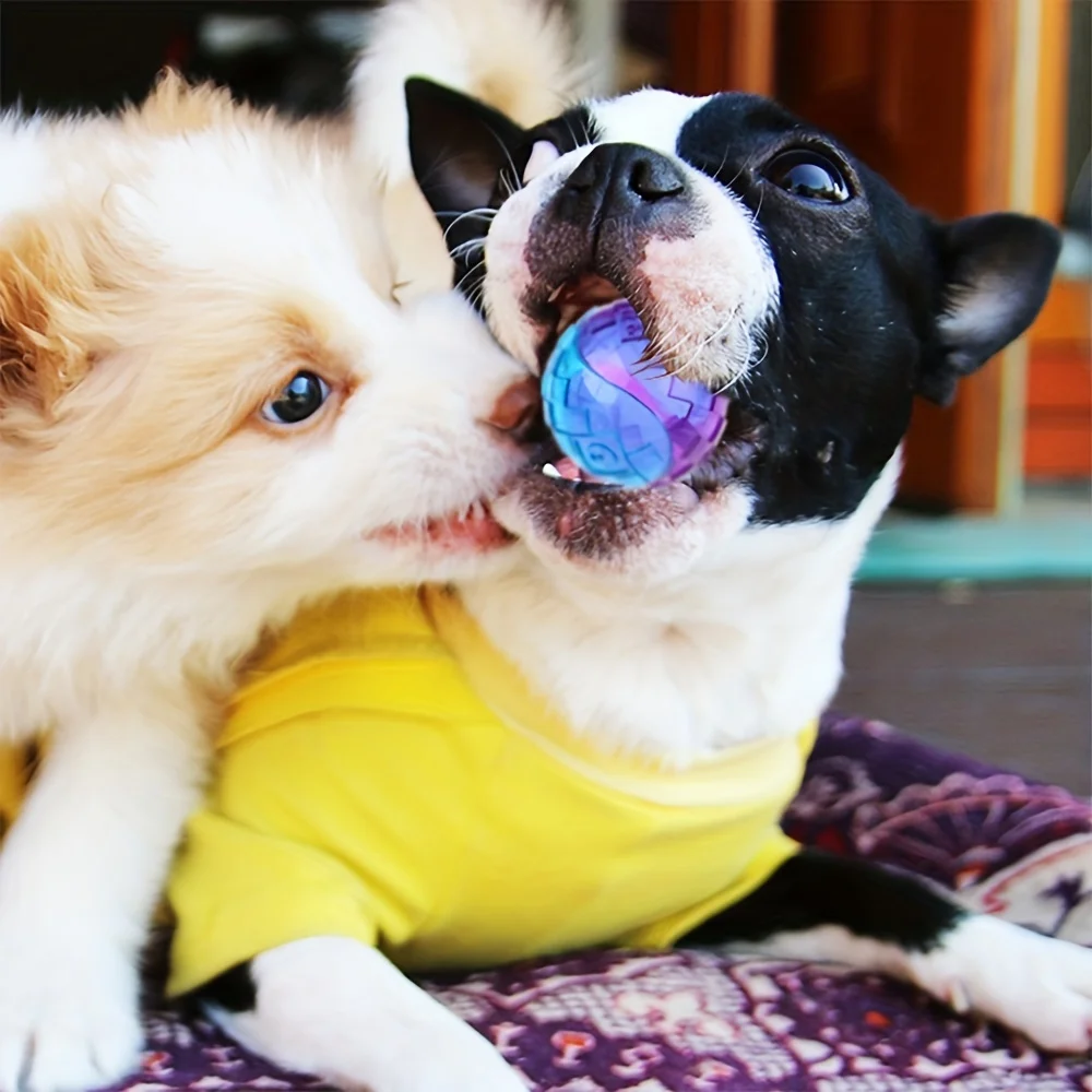 Brinquedo Bola de Borracha para Cães com Som Squeaky - Imagem 2