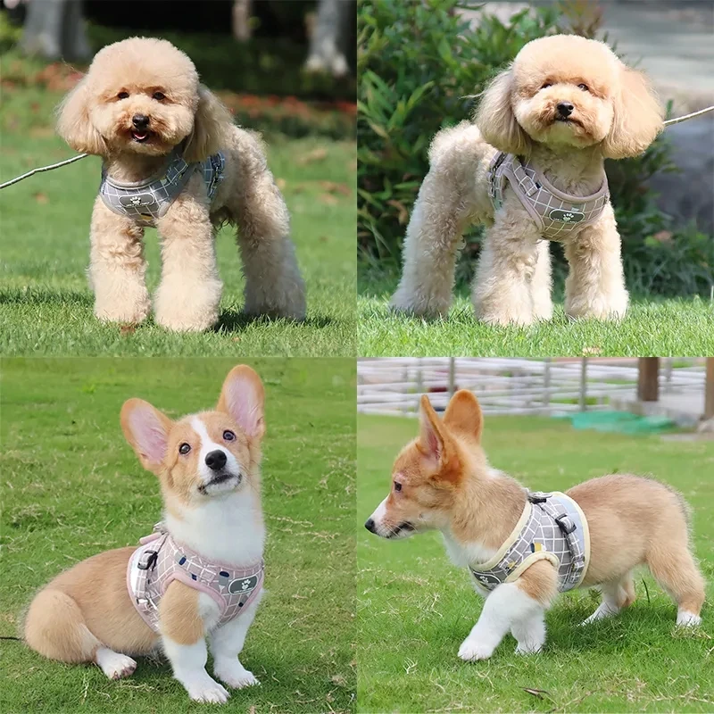 Coleira Peitoral de Nylon para Cães e Gatos com Guia e Faixa Refletiva - Image 2
