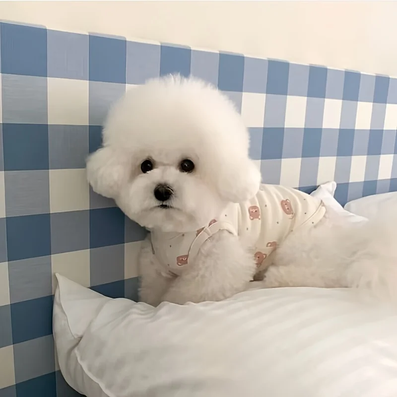 Colete para Cães e Gatos com Estampa de Desenho Animado Leve - Image 5