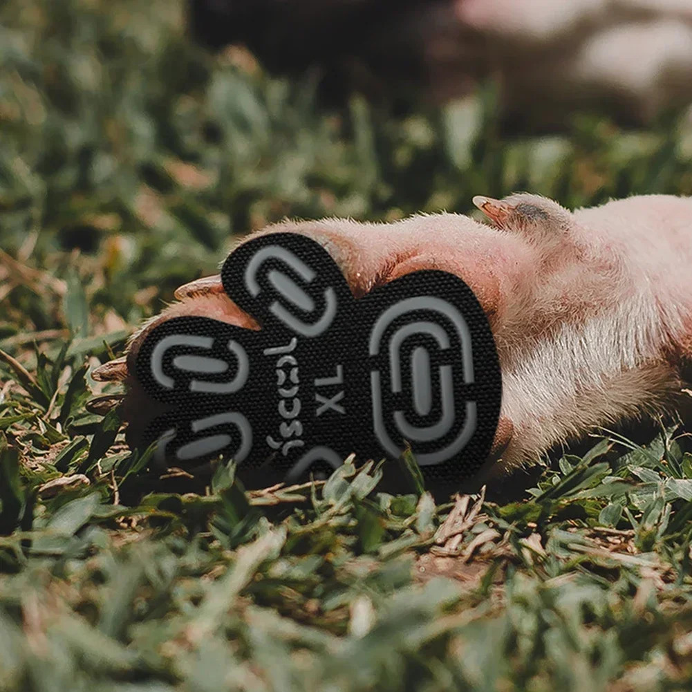 Adesivo de Pata para Cães com Silicone e Nano Material 4 Peças - Imagem 3