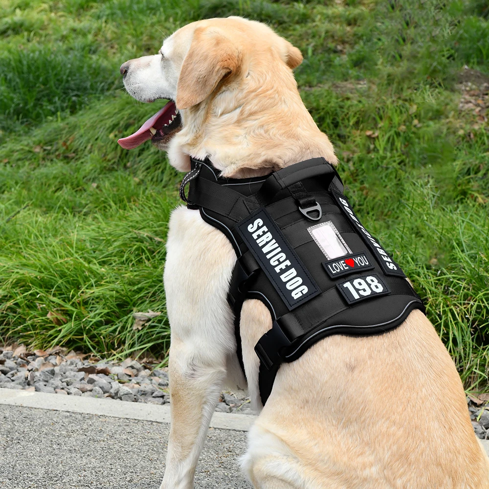 Colete Tático para Cães KOMMILIEF sem Puxar com Alça Acolchoada - Imagem 5