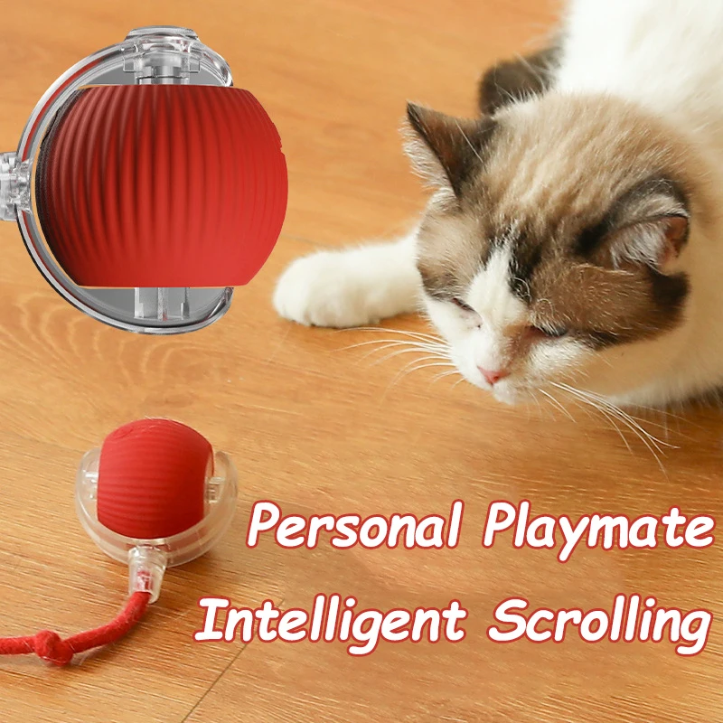 Bola Interativa para Gatos Recarregável USB com Modo Inteligente - Imagem 3