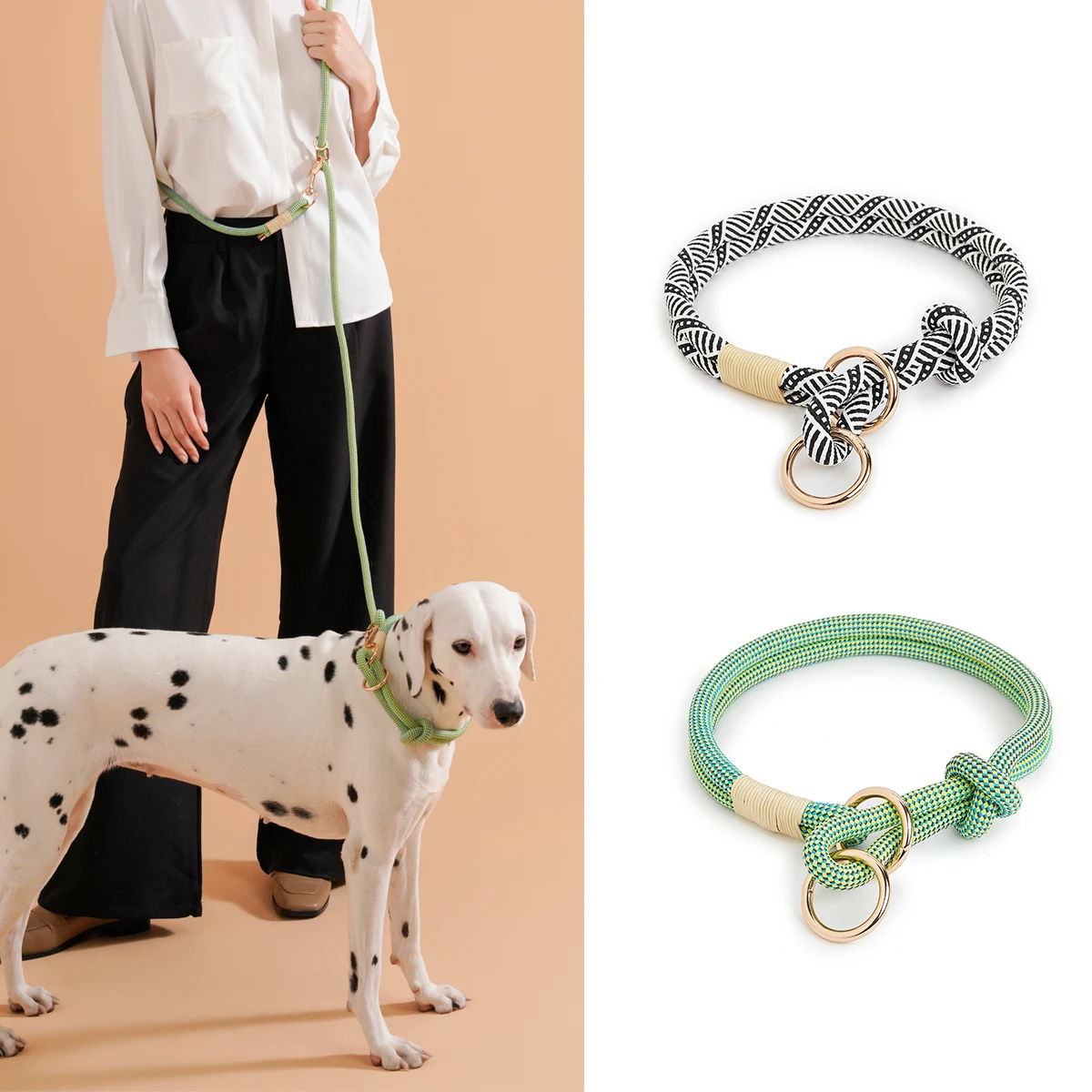 Coleira e Guia para Cães de Nylon com Estampa Listrada - Imagem 4