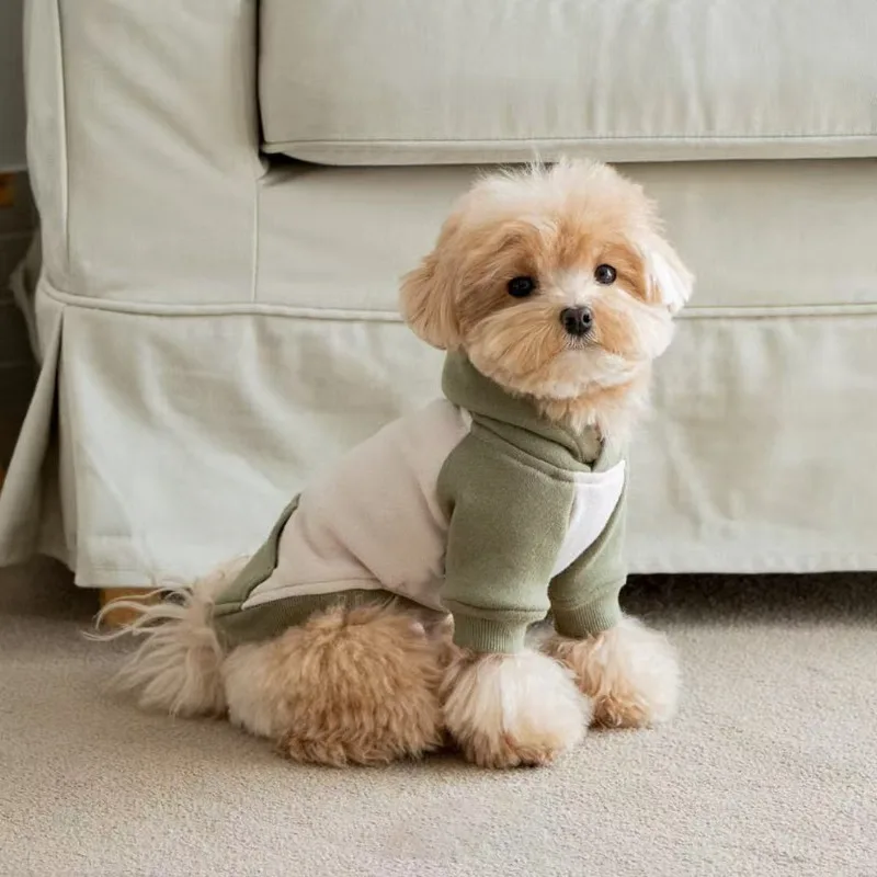 Moletom para Cães de Lã para Cães Pequenos e Médios - Imagem 2