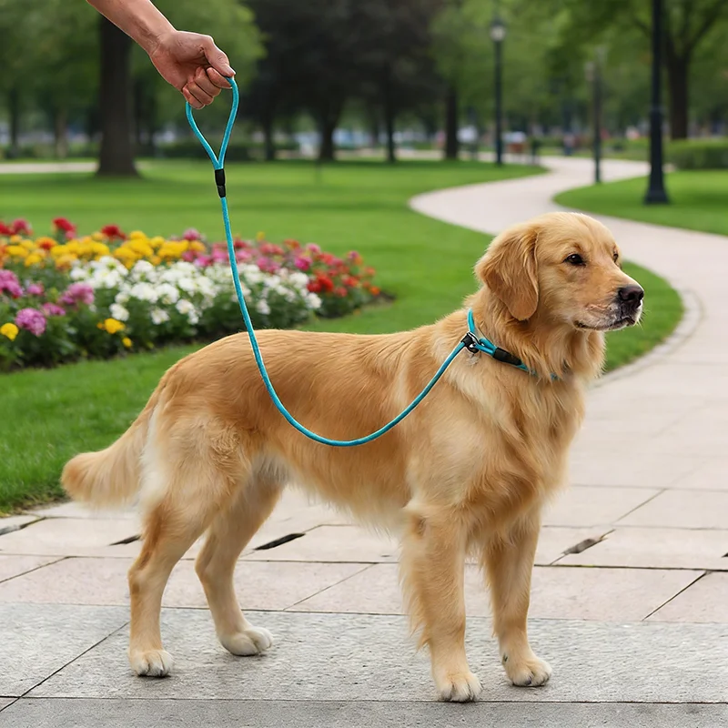 Coleira Guia para Cães de Nylon Trançado Ajustável Antipuxão - Imagem 2