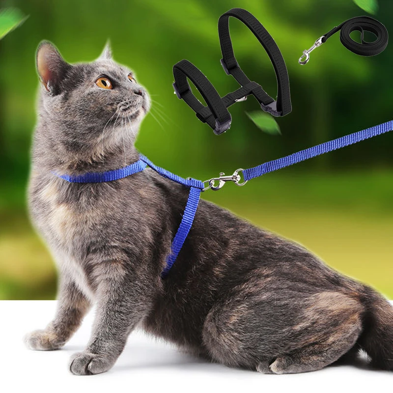 Coleira de Nylon Ajustável para Gatos e Coelhos Multicolorida - Imagem 2