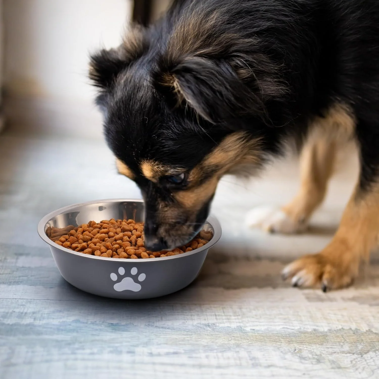 Tigela para Cães e Gatos de Aço Inoxidável com Base Antiderrapante - Imagem 3