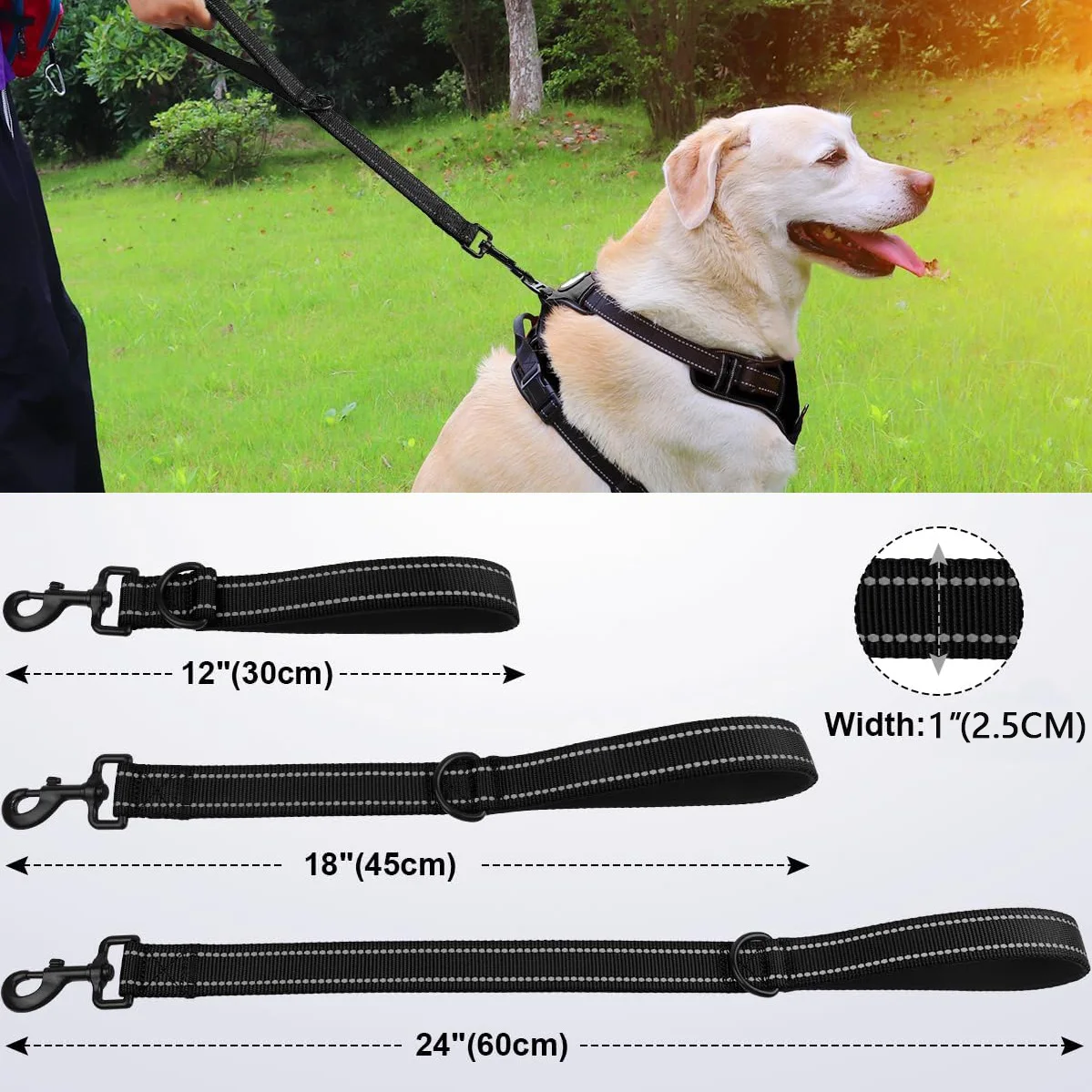 Guia Curta para Cães com Alça Acolchoada e Fios Refletivos - Imagem 2