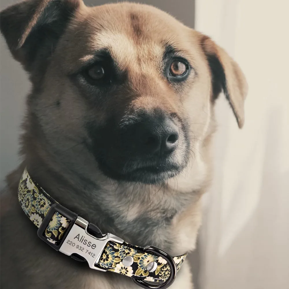 Coleira para Cães com Nome Gravado e Placa de Identificação Ajustável - Imagem 6