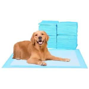 tapete higiênico para cães