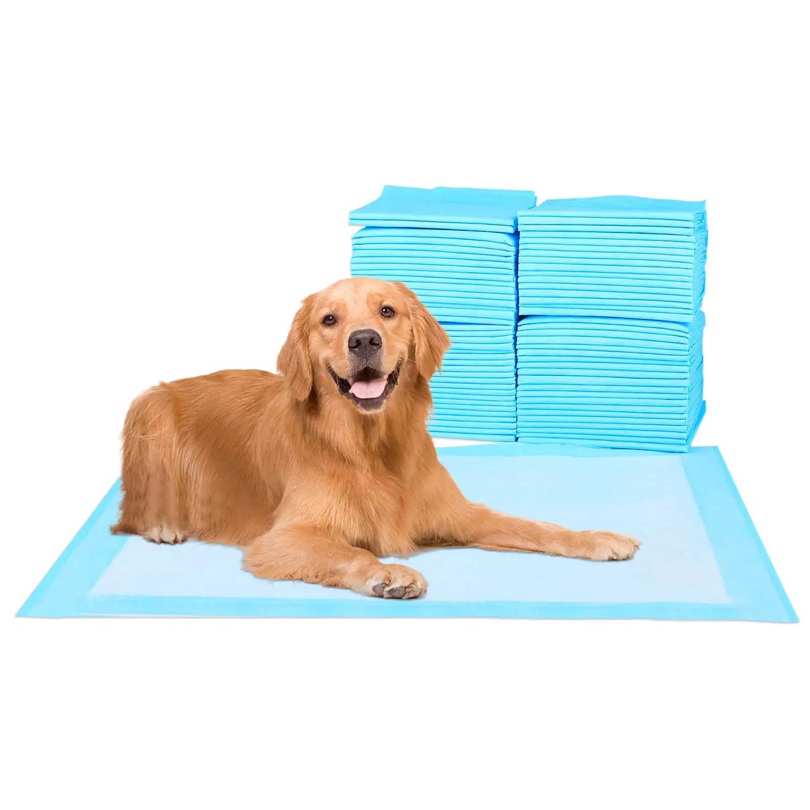 tapete higiênico para cães