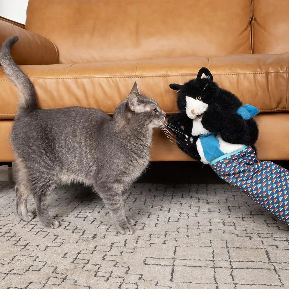 Luva de Brinquedo para Gatos com Acolchoamento Resistente - Image 6