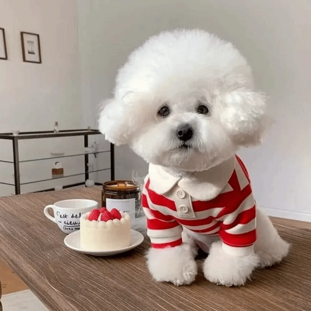Camisa Listrada para Cães de Poliéster Respirável para Atividades ao Ar Livre - Imagem 3
