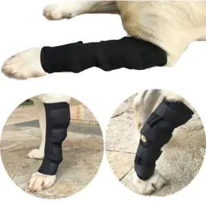 joelheira para cães de recuperação