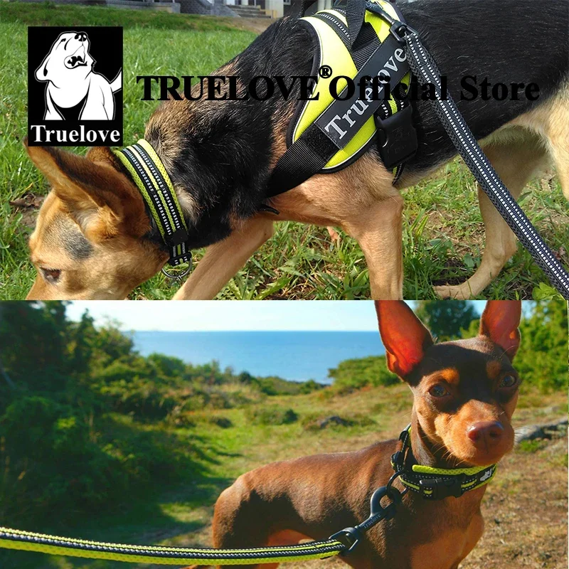 Coleira Truelove para Cães de Nylon Ajustável Refletiva para Passeio Noturno - Imagem 6