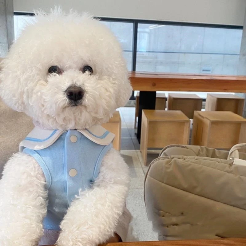 Camisa Polo para Cães Pequenos e Médios de Algodão Listrada Macia - Imagem 3