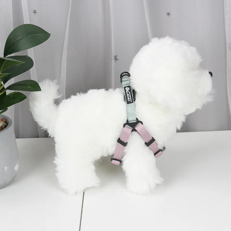Arnês e Guia para Cães Pequenos e Médios Ajustável de Nylon - Imagem 2