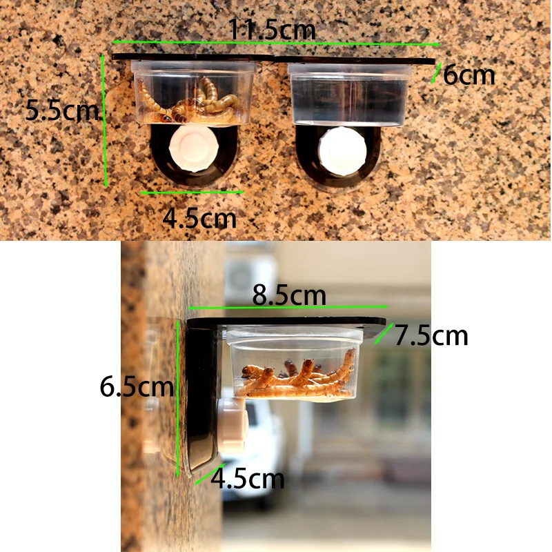 Tigela para Répteis com Ventosa para Terrário - Imagem 2