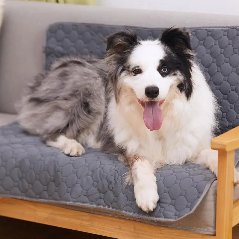Tapete Absorvente Reutilizável para Cães Lavável para Carro e Sofá - Imagem 2