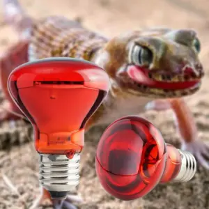 lâmpada de aquecimento para répteis uva