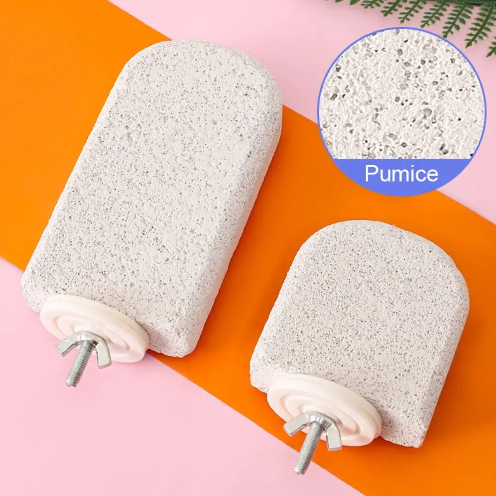 Placa de Suporte para Pássaros de Pedra-Pomes com Encaixe na Gaiola - Image 3
