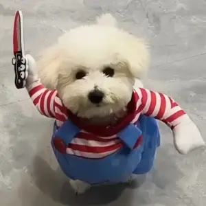 roupa de halloween para cães e gatos