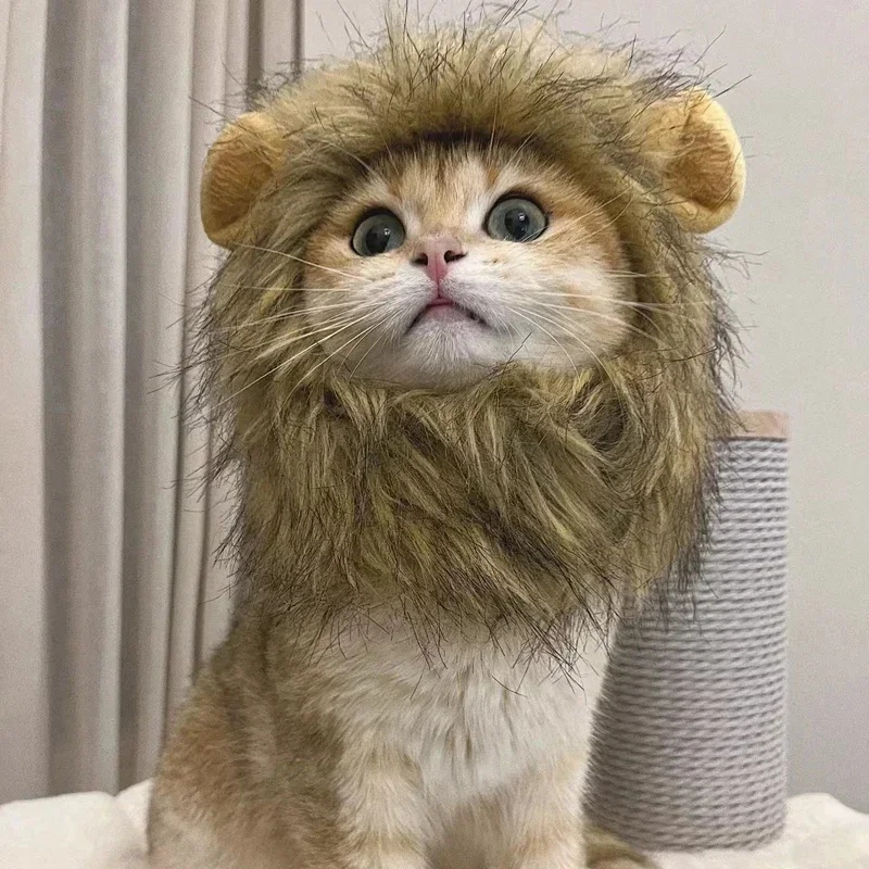 Peruca Juba de Leão para Gatos e Cães Pequenos de Feltro com Orelhas - Imagem 2