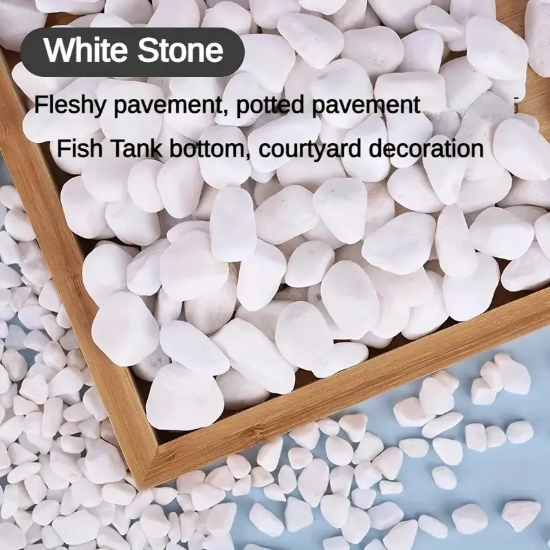 Pedras Decorativas para Aquário 500g Seixo Branco Polido Natural - Imagem 3