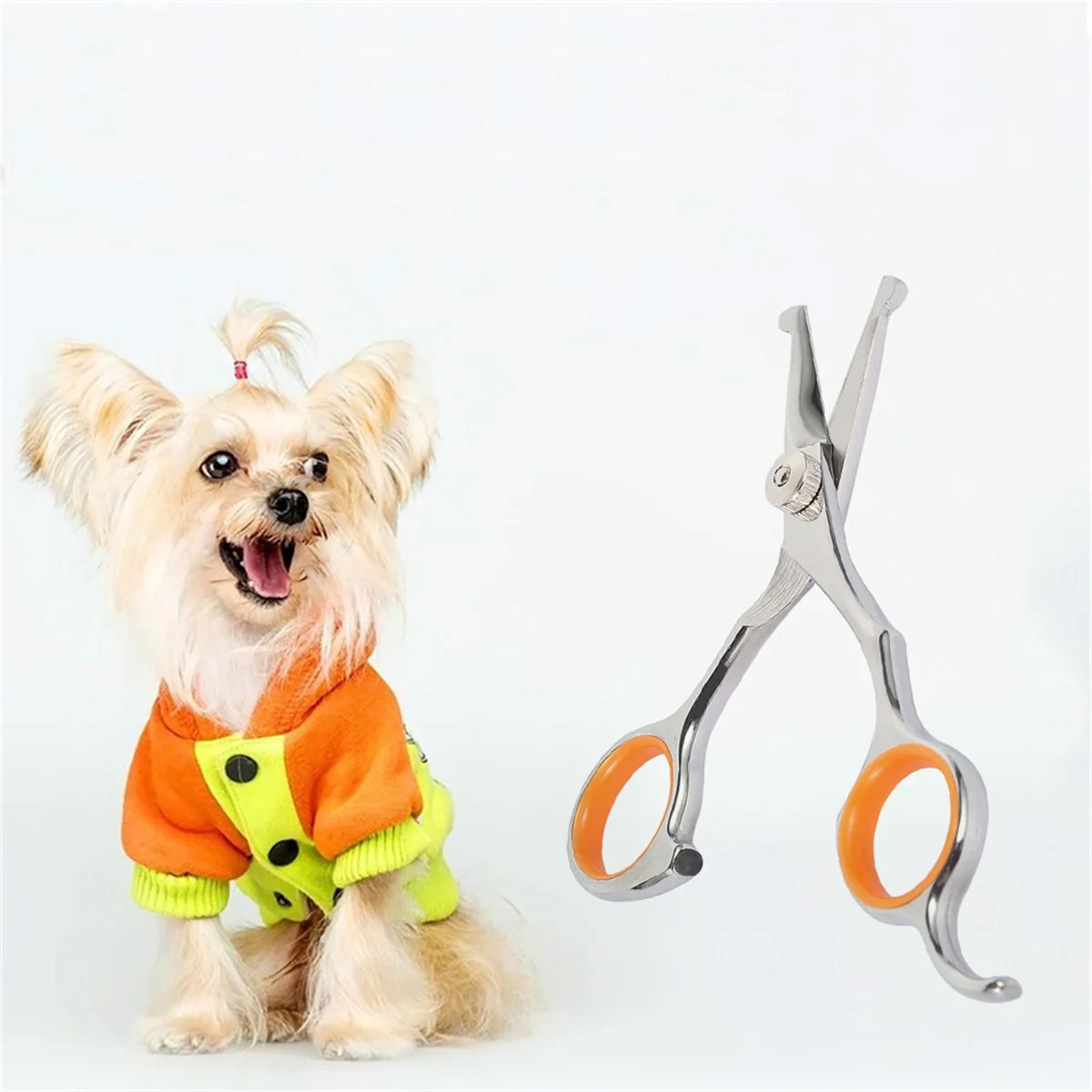 Tesoura para Cães e Gatos de Aço com Ponta Arredondada - Imagem 5