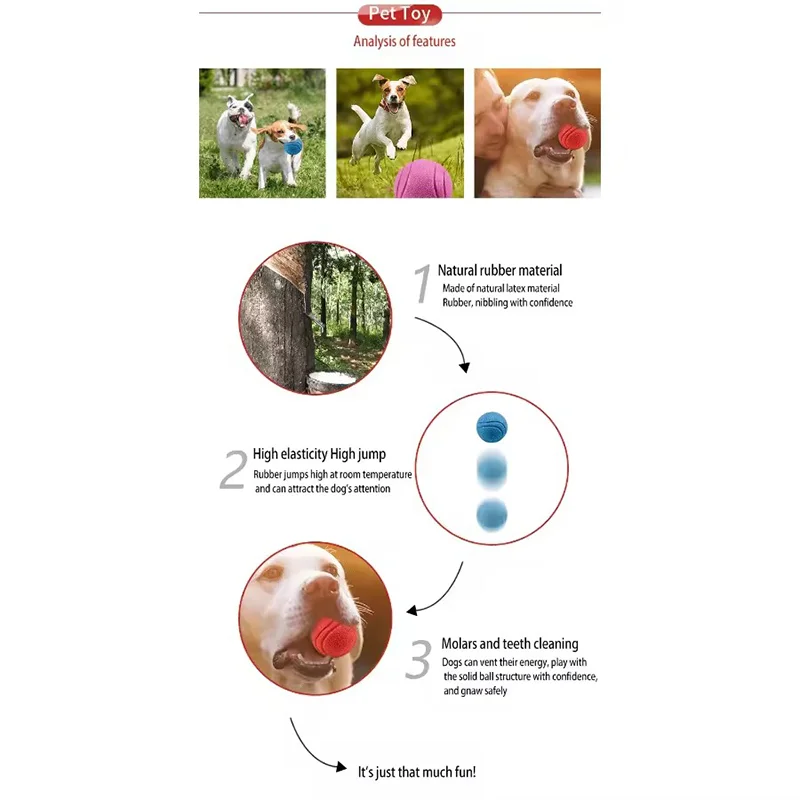 Bola de Borracha Elástica para Cães Sólida e Durável - Imagem 6
