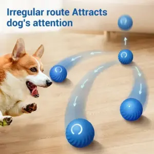 bola de brinquedo para cães usb