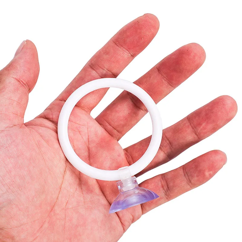 Anel de Treinamento para Peixe Betta de Aquário com Ventosas - Imagem 6