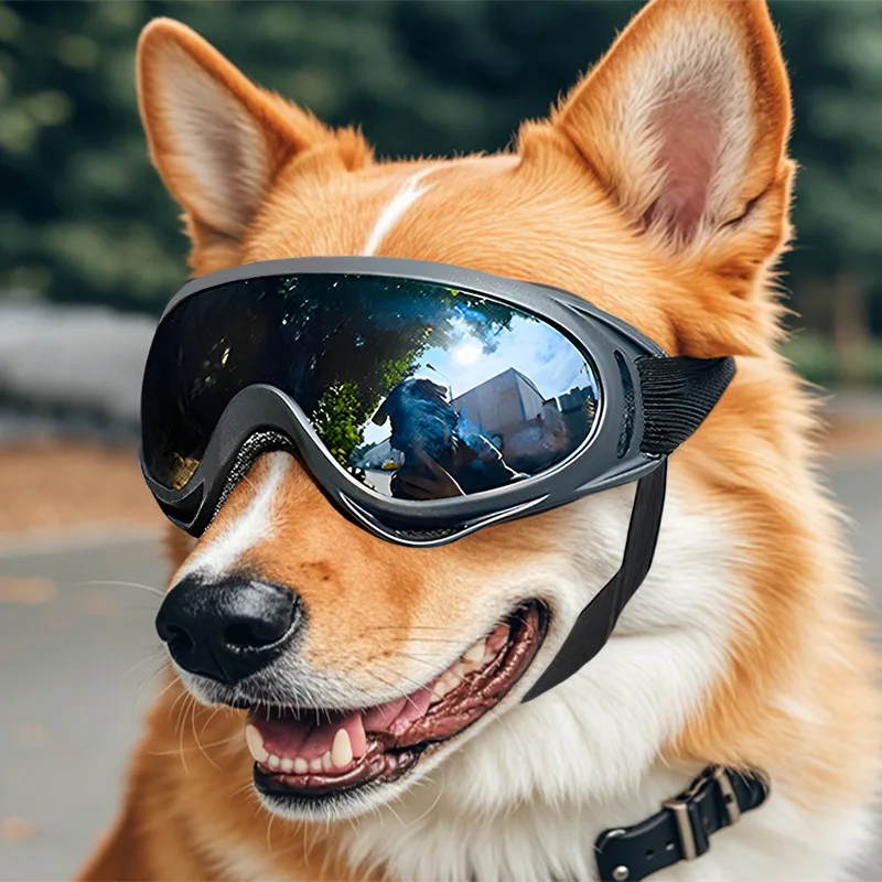 Óculos de Sol para Cães com Lentes Anti-UV e Elástico Ajustável - Imagem 4