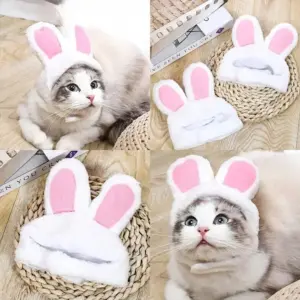 chapéu de orelhas para gato