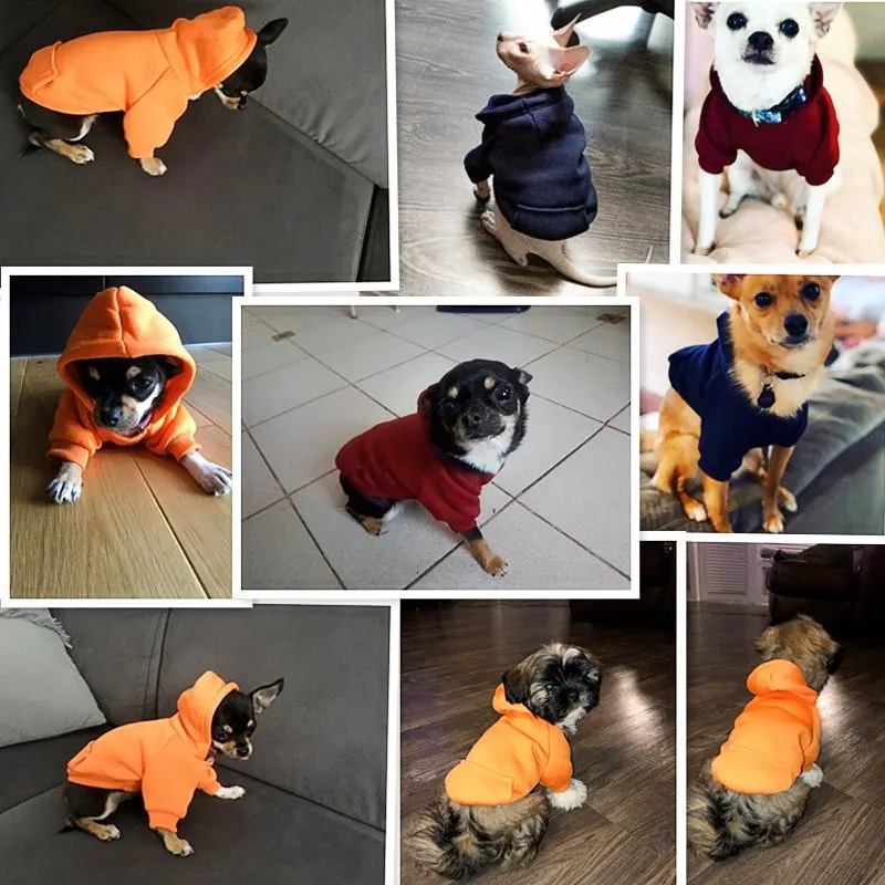 Moletom para Cães de Poliéster com Capuz e Bolsos - Imagem 3