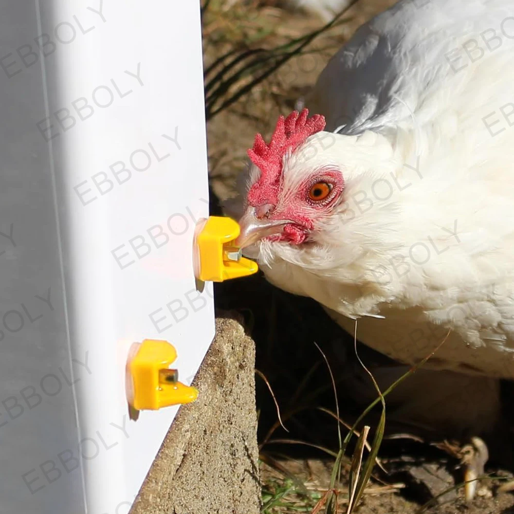 Bebedouro Niple para Aves com Design Anti Vazamento e Fácil Instalação - Imagem 2