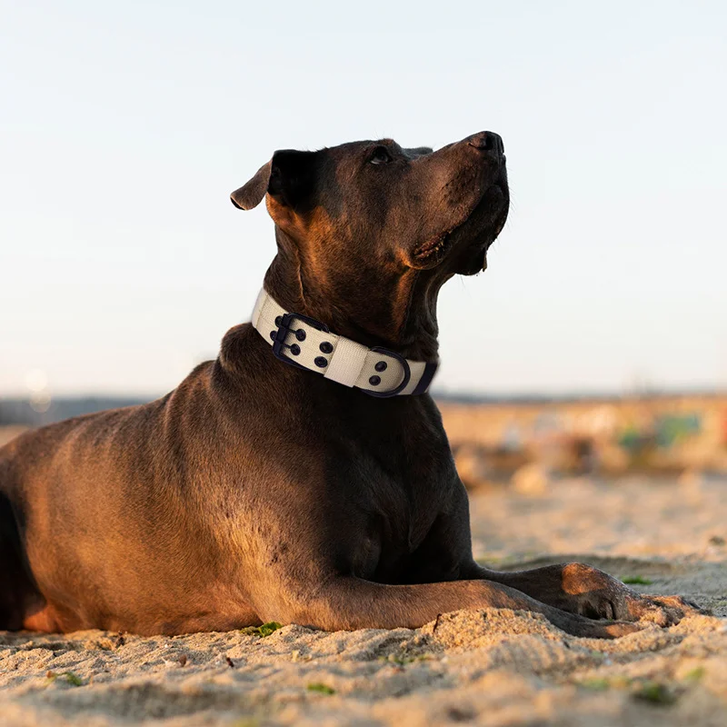 Coleira Tática para Cães de Nylon com Fivela Dupla Ajustável - Image 5