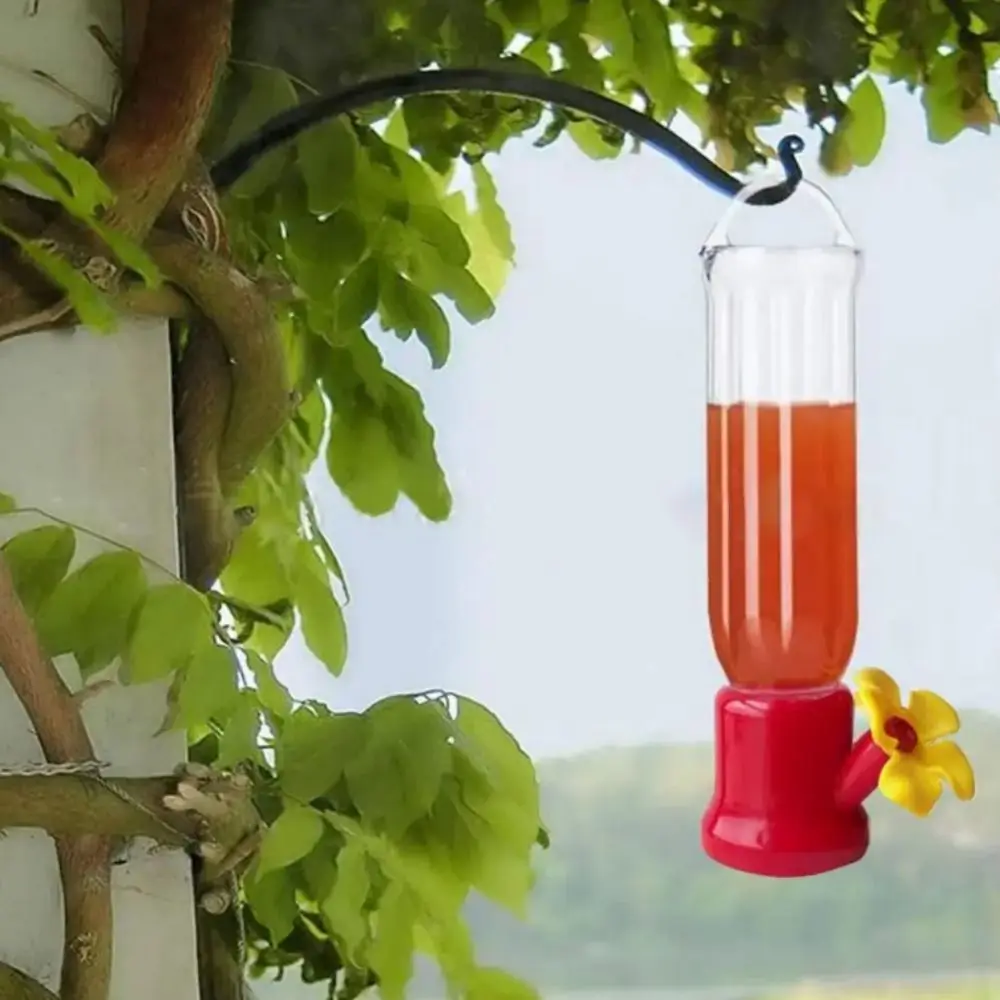 Alimentador de Água para Pássaros Transparente com Fio para Pendurar - Imagem 2