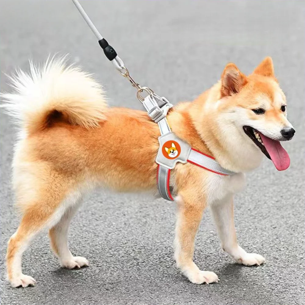 arnês colete para cães