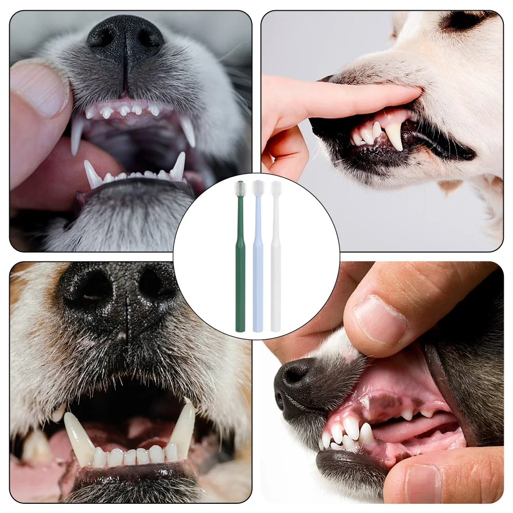 Escova de Dentes para Gatos e Cães Pequenos com Cerdas 360º - Imagem 6