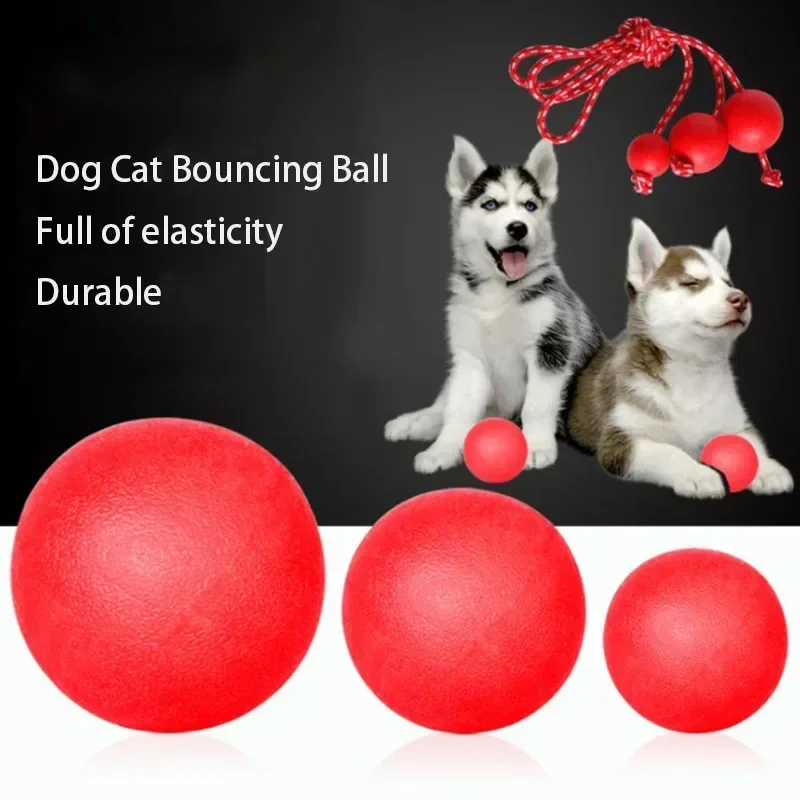 Brinquedo Bola de Borracha para Cães com Corda, Diâmetro 7 cm - Imagem 2