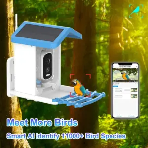 alimentador para pássaros com câmera solar