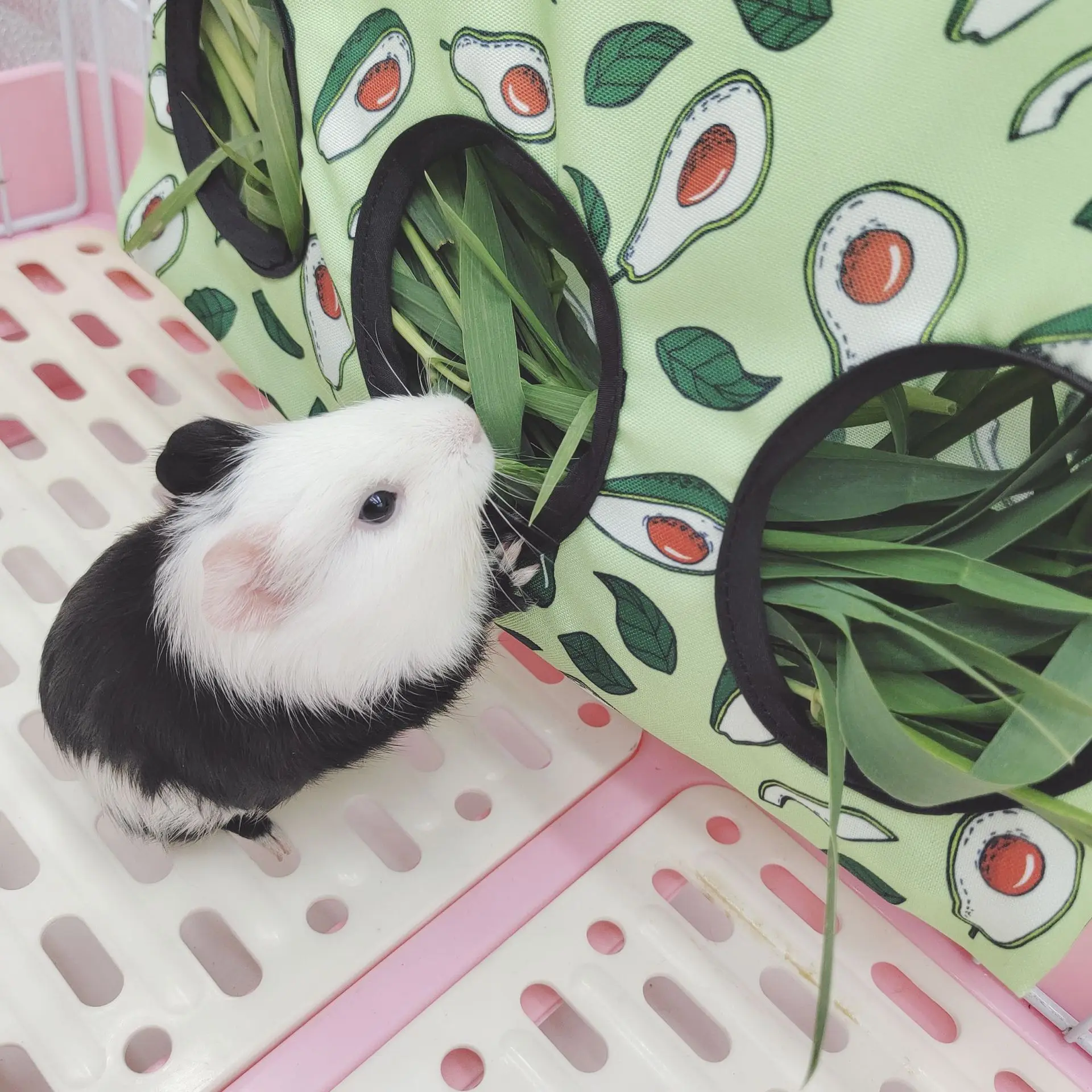 Alimentador de Feno para Coelhos e Pequenos Animais com Gancho de Metal - Imagem 3