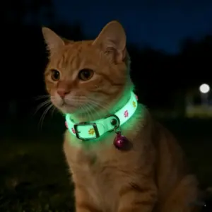 coleira de silicone para gatos que brilha