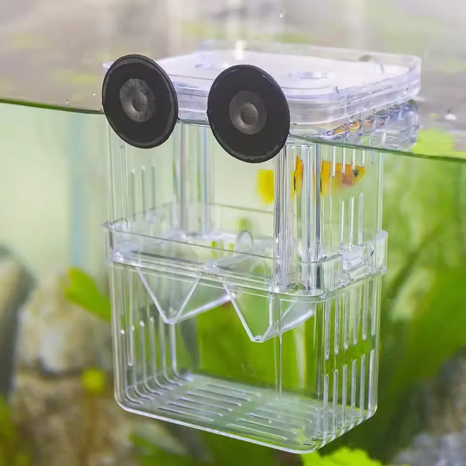 Caixa de Isolamento para Peixes de Aquário Betta Acrílico - Imagem 2