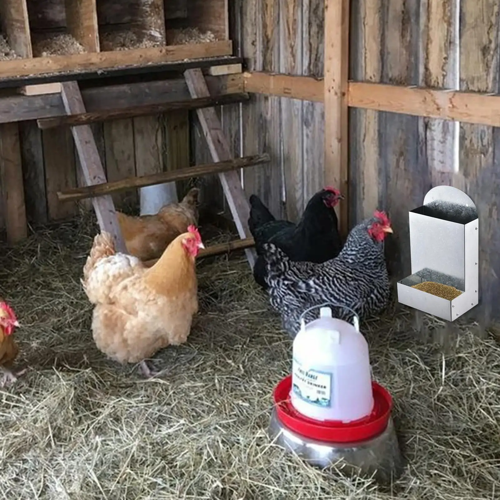 Alimentador Automático para Aves de Aço com Montagem de Metal - Imagem 2