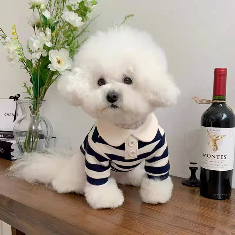 camisa polo listrada para cães