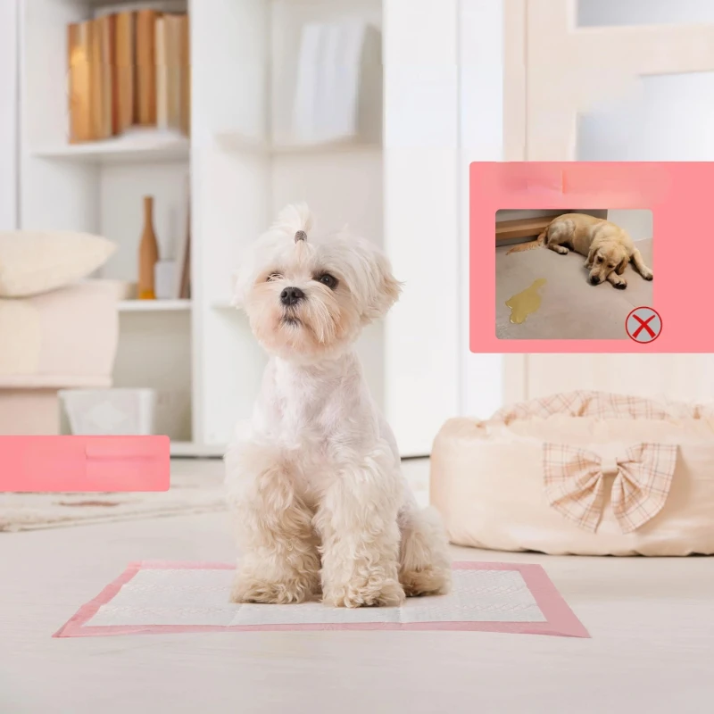 Tapetes Higiênicos para Cães e Gatos Super Absorventes - Imagem 3